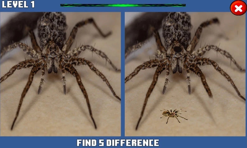 蜘蛛隐藏差异截图1