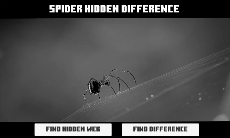 蜘蛛隐藏差异截图3
