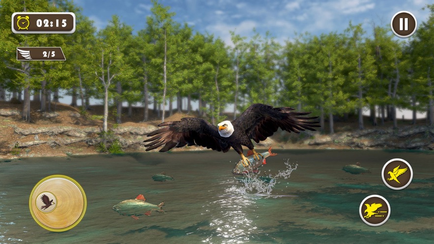 宠物美国鹰生活模拟3D截图1