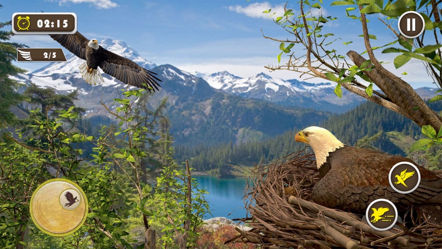 宠物美国鹰生活模拟3D截图2