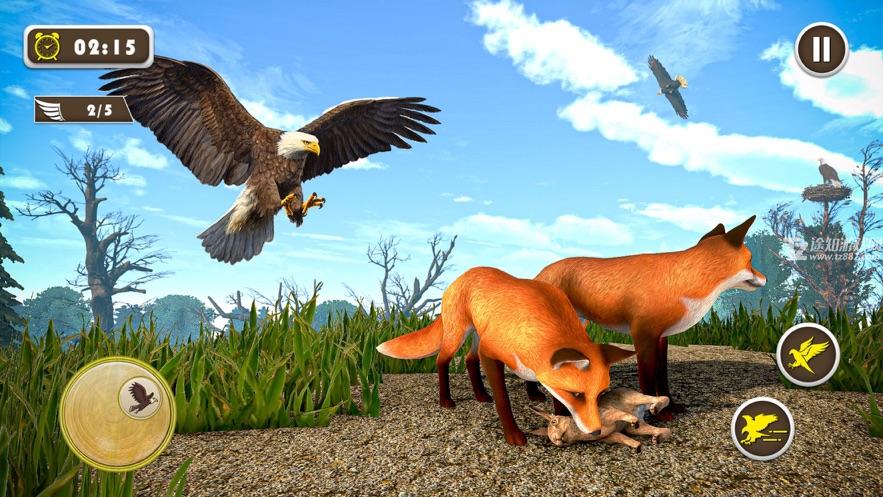宠物美国鹰生活模拟3D