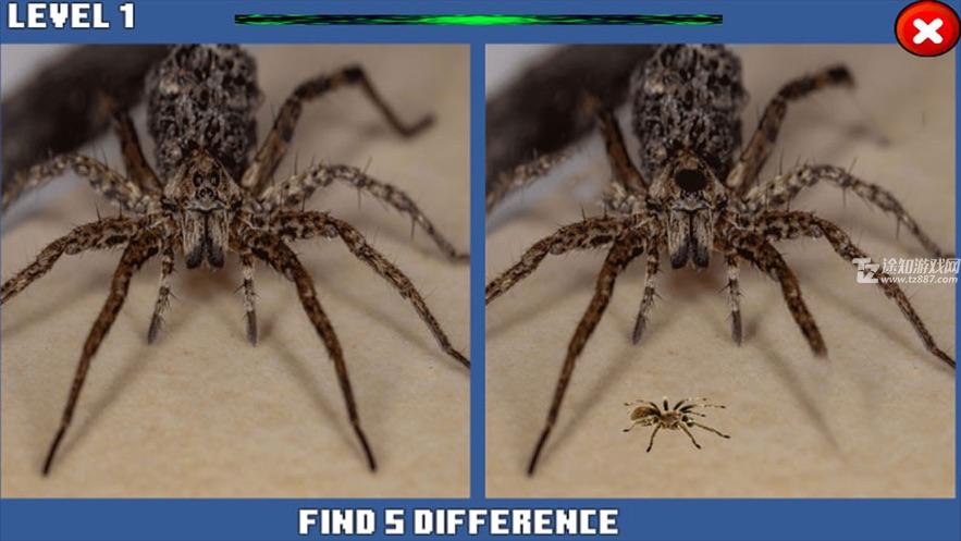 蜘蛛隐藏的差异